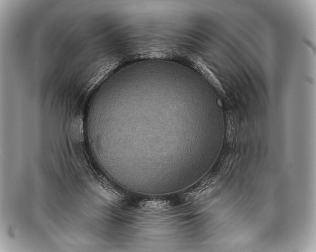 X0000098010251200804111240