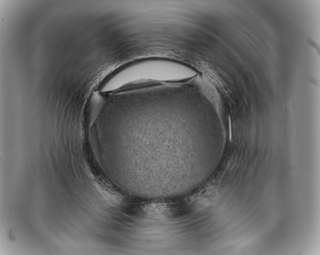 X0000098010252200804111240