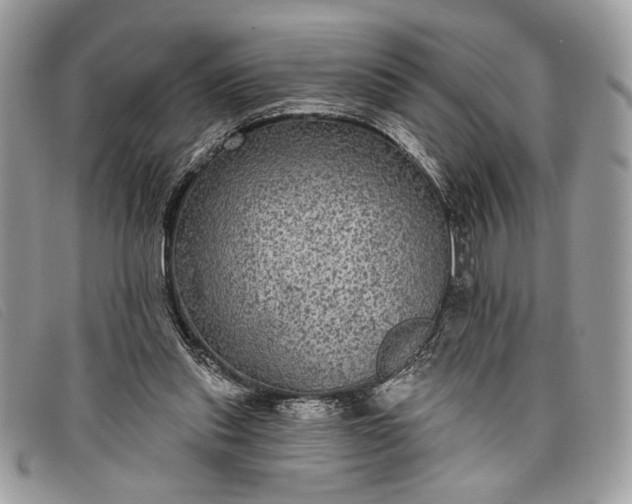 X0000098010253200804111240