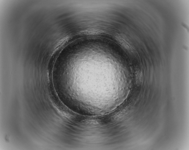 X0000098010254200804111240