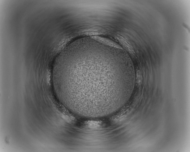 X0000098010255200804111240