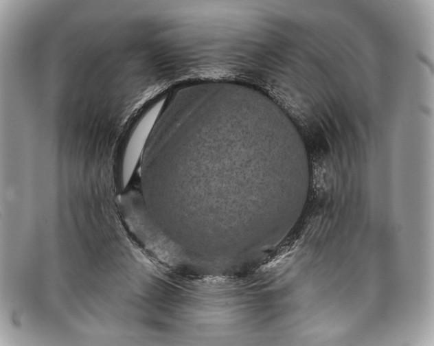 X0000098010256200804111240