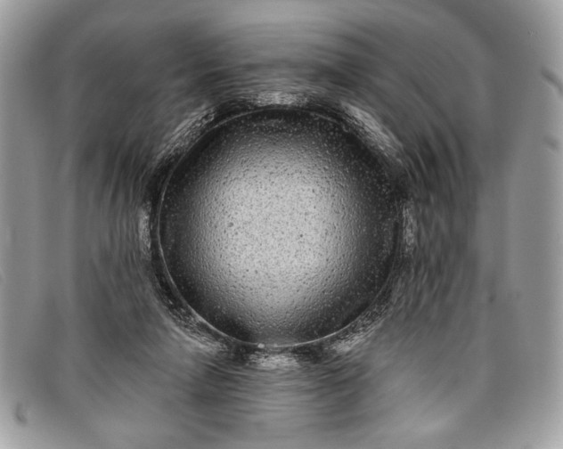 X0000098010258200804111240