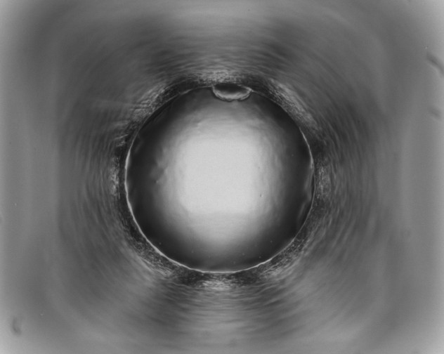 X0000098010259200804111240