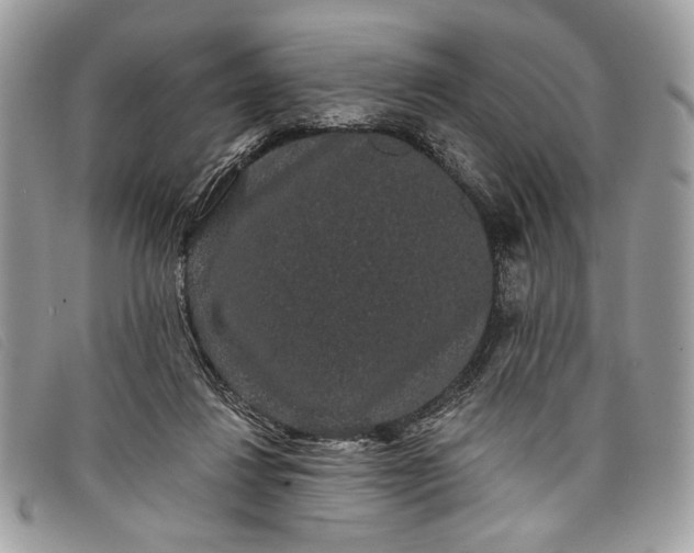 X0000098010260200804111240