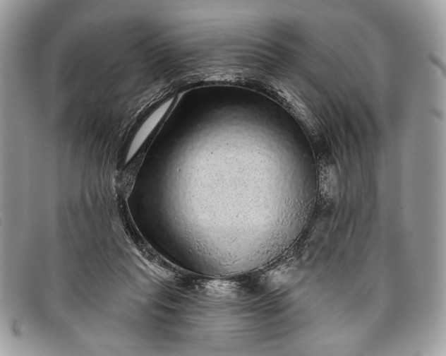 X0000098010261200804111240