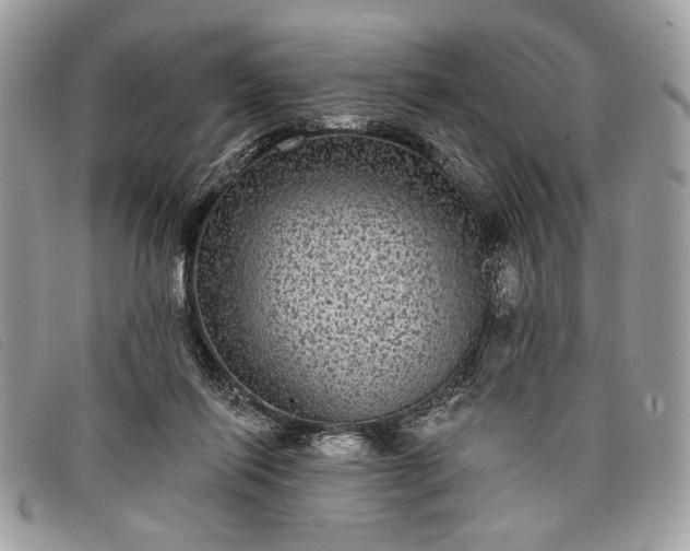 X0000098010262200804111240