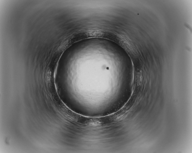 X0000098010263200804111240