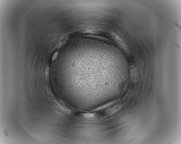 X0000098010265200804111240