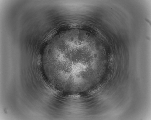 X0000098010266200804111240