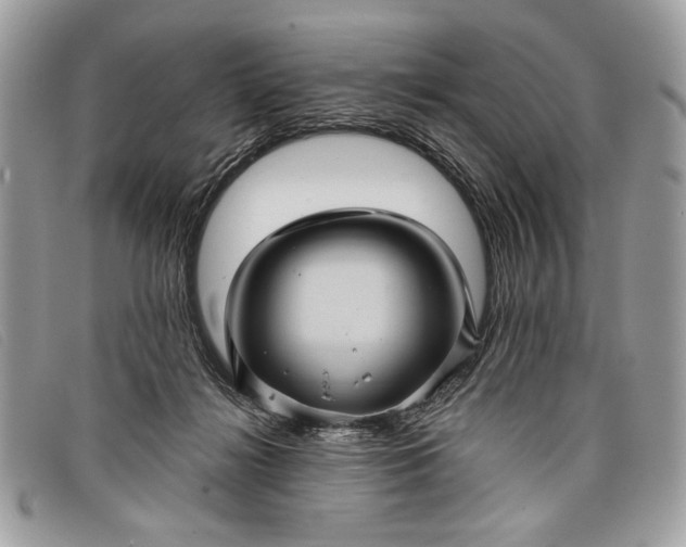 X0000098010268200804111240