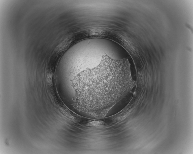 X0000098010269200804111240