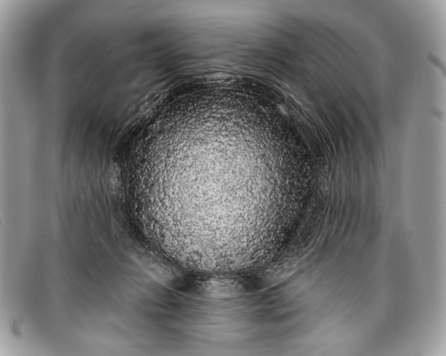 X0000098010270200804111240