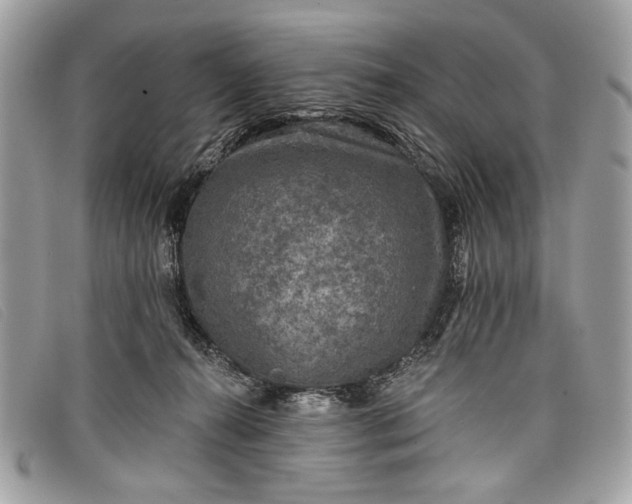 X0000098010272200804111240