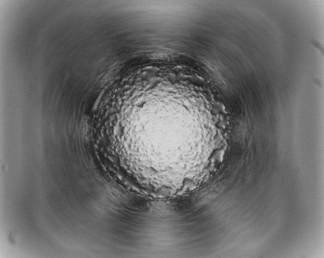 X0000098010273200804111240