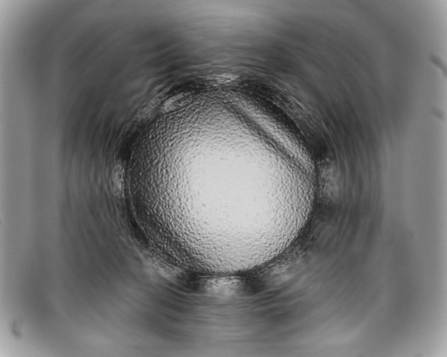 X0000098010274200804111240