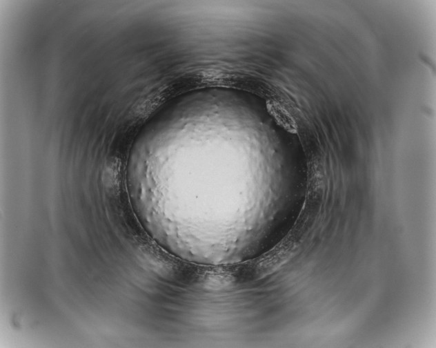 X0000098010275200804111240