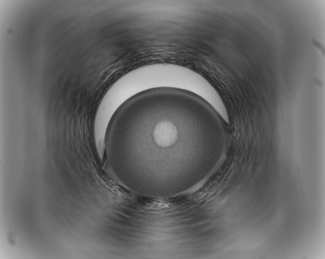 X0000098010276200804111240