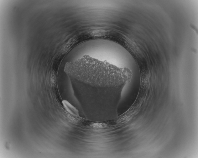 X0000098010277200804111240