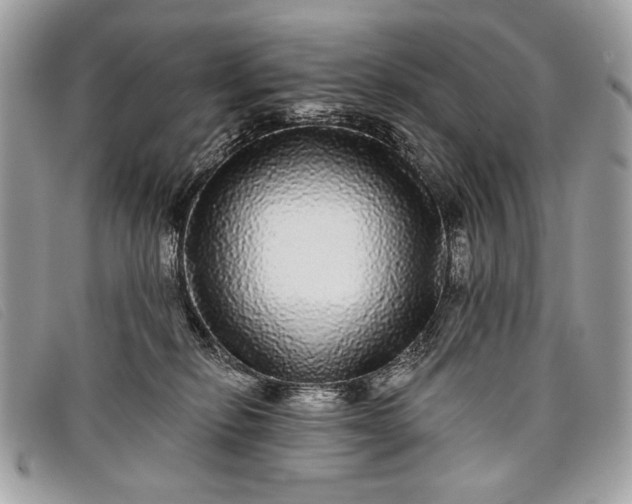 X0000098010278200804111240