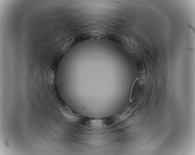 X0000098010279200804111240