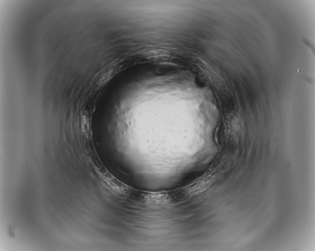 X0000098010281200804111240