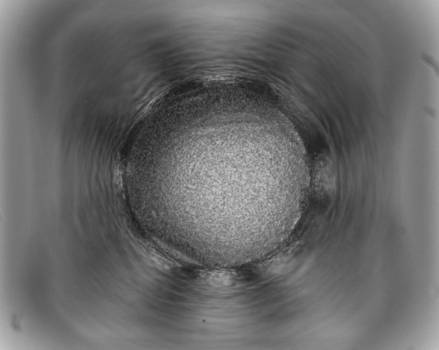 X0000098010282200804111240