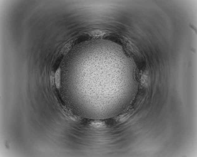 X0000098010283200804111240