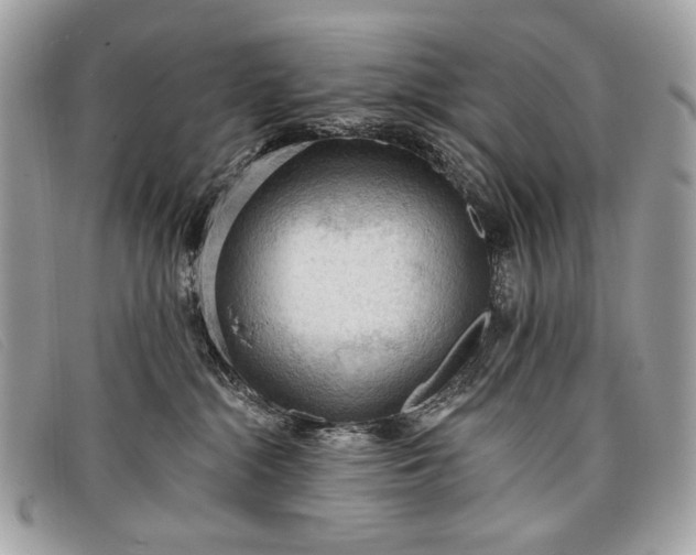 X0000098010284200804111240