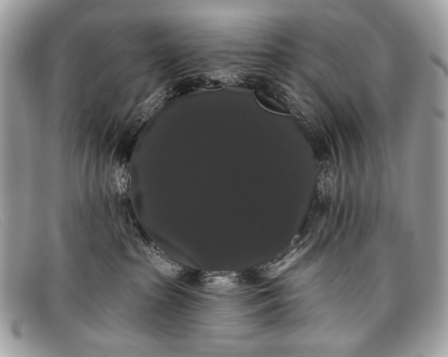 X0000098010285200804111240