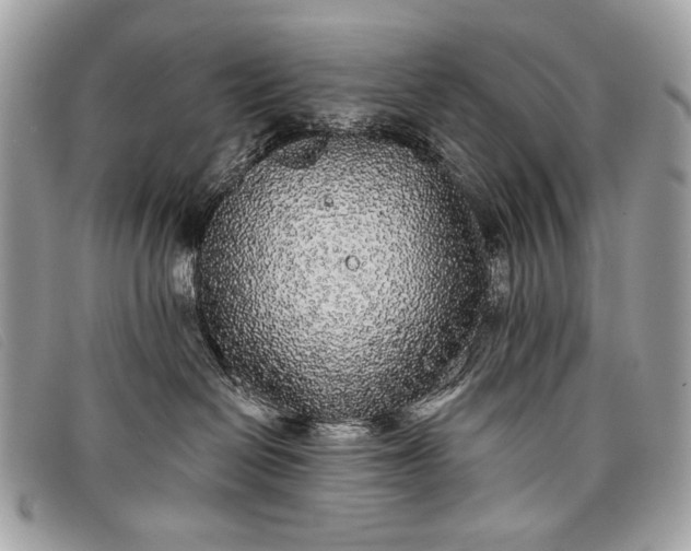 X0000098010286200804111240