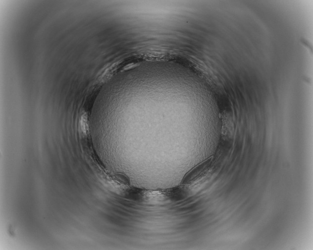 X0000098010287200804111240