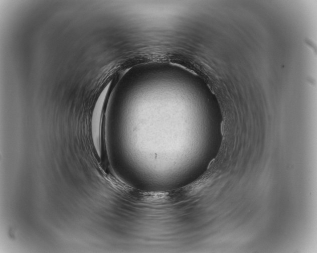 X0000098010288200804111240