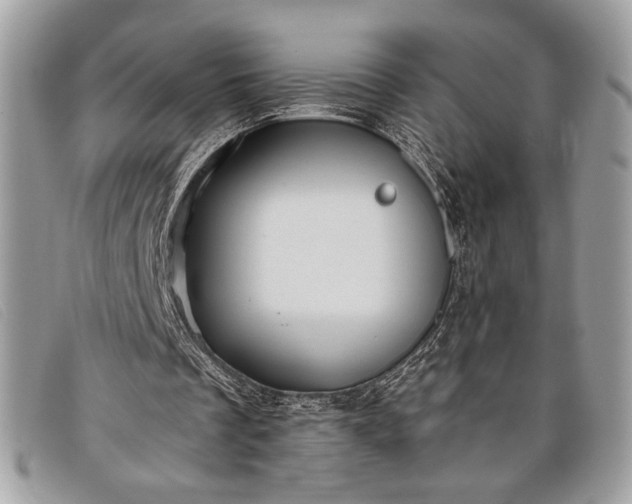 X0000098010289200804111239