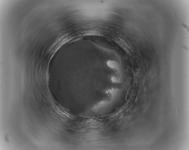 X0000098010290200804111239