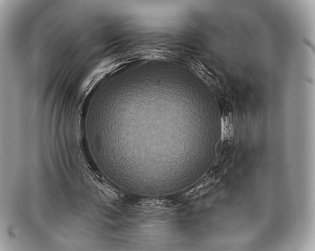 X0000098010291200804111239