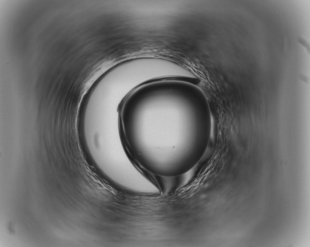 X0000098010292200804111239