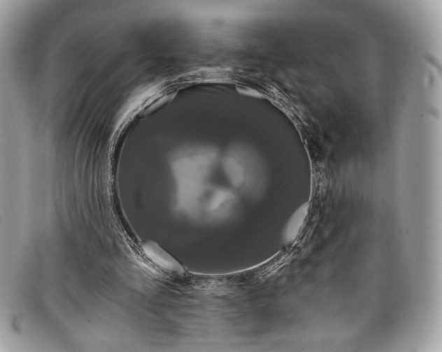 X0000098010293200804111239