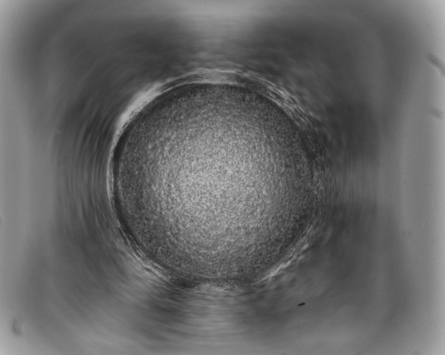 X0000098010294200804111239