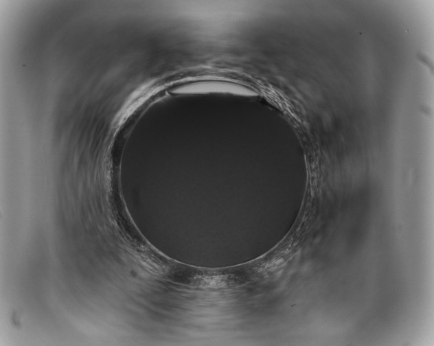 X0000098010295200804111239