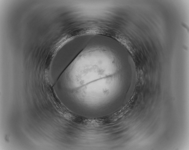 X0000098010297200804111239