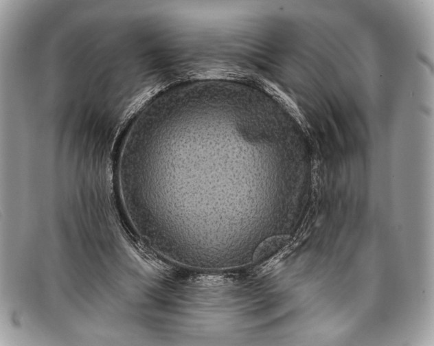 X0000098010298200804111239