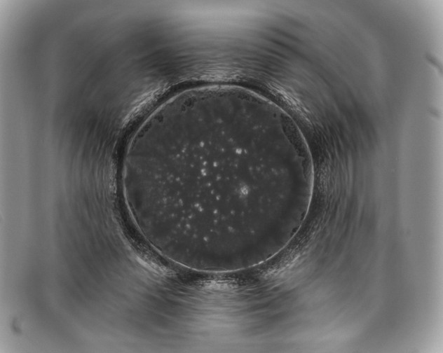 X0000098010303200804111239