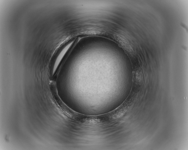 X0000098010304200804111239