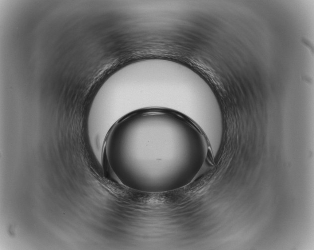 X0000098010308200804111239