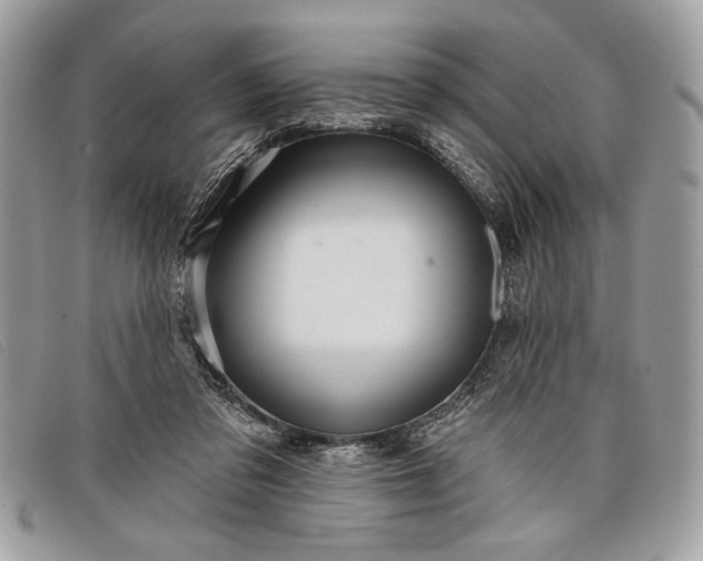 X0000098010309200804111239