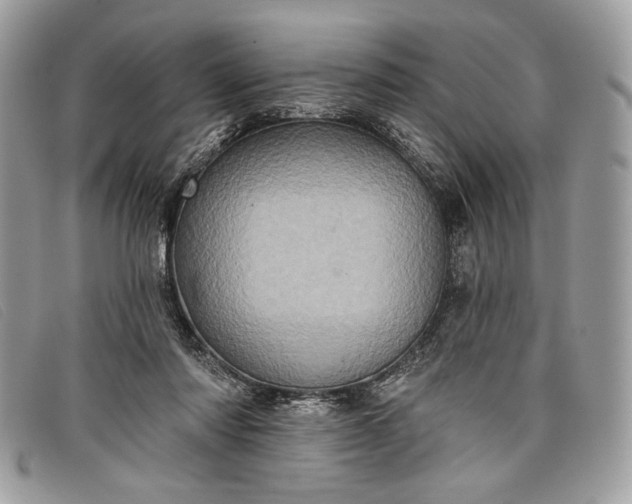 X0000098010310200804111239