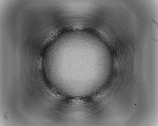 X0000098010311200804111239