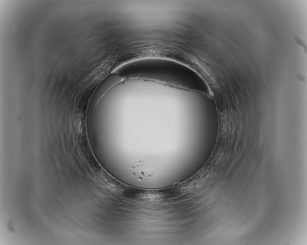 X0000098010313200804111239