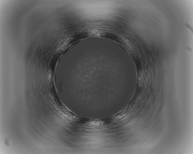 X0000098010314200804111239